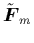 $\tilde{{\mbox{\protect\boldmath$F$}}}_m$