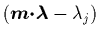 $\left( {\mbox{\protect\boldmath$m$}}\mbox{\protect\boldmath$\cdot$}{\mbox{\protect\boldmath$\lambda$}}-\lambda_j \right)$