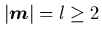 $\vert{\mbox{\protect\boldmath$m$}}\vert=l\geq 2$