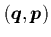$({\mbox{\protect\boldmath$q$}},{\mbox{\protect\boldmath$p$}})$