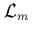 $\L _m$