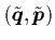 $(\tilde{{\mbox{\protect\boldmath$q$}}},\tilde{{\mbox{\protect\boldmath$p$}}})$