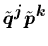 $\tilde{{\mbox{\protect\boldmath$q$}}}^{\mbox{\protect\footnotesize\protect\bold...
...mbox{\protect\boldmath$p$}}}^{\mbox{\protect\footnotesize\protect\boldmath$k$}}$