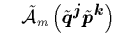 $\displaystyle \quad
\tilde{{\cal A}}_m\left( \tilde{{\mbox{\protect\boldmath$q$...
...otect\boldmath$p$}}}^{\mbox{\protect\footnotesize\protect\boldmath$k$}}
\right)$