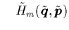 $\displaystyle \quad
\tilde{H}_m(\tilde{{\mbox{\protect\boldmath$q$}}},\tilde{{\mbox{\protect\boldmath$p$}}})$