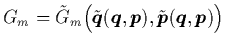 $G_m = \tilde{G}_m \Big( \tilde{{\mbox{\protect\boldmath$q$}}}({\mbox{\protect\b...
...ldmath$p$}}}({\mbox{\protect\boldmath$q$}},{\mbox{\protect\boldmath$p$}}) \Big)$