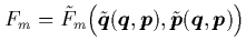 $F_m = \tilde{F}_m \Big( \tilde{{\mbox{\protect\boldmath$q$}}}({\mbox{\protect\b...
...ldmath$p$}}}({\mbox{\protect\boldmath$q$}},{\mbox{\protect\boldmath$p$}}) \Big)$