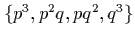$\left\{ p^3,p^2q,pq^2,q^3 \right\}$