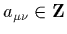 $a_{\mu\nu}\in{\bf Z}$