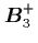 ${\mbox{\protect\boldmath$B$}}_3^+$