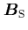 ${\mbox{\protect\boldmath$B$}}_{\rm S}$
