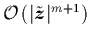 ${{\cal O}\left(\vert\tilde{{\mbox{\protect\boldmath$z$}}}\vert^{m+1}\right)}$