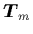 ${\mbox{\protect\boldmath$T$}}_m$