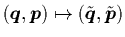 $({\mbox{\protect\boldmath$q$}},{\mbox{\protect\boldmath$p$}}) \mapsto (\tilde{{\mbox{\protect\boldmath$q$}}},\tilde{{\mbox{\protect\boldmath$p$}}})$