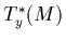 $T_y^*(M)$