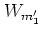 $W_{m_1'}$