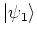 $\left\vert \psi_1 \right>$