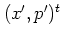 $(x',p')^t$