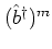 $(\b ^\dagger)^m$