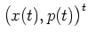 $\big(x(t),p(t)\big)^t$