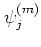 $\displaystyle \psi_j^{(m)}$