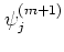 $\psi_{j}^{(m+1)}$