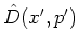 $\hat{D}(x',p')$