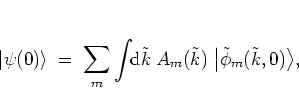 \begin{displaymath}
\left\vert \psi(0) \right>
\; = \; \sum_m \int\!\! {\mbox{...
...m(\tilde{k}) \;
\big\vert \tilde{\phi}_m(\tilde{k},0) \big> ,
\end{displaymath}
