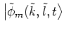 $\big\vert \tilde{\phi}_m(\tilde{k},\tilde{l},t \big>$