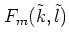 $F_m(\tilde{k},\tilde{l})$