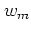 $w_m$