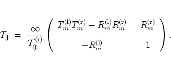 \begin{displaymath}
\cal{T}_m
\; = \; \frac{1}{T_m^{(\mbox{\scriptsize r})}}
...
...mbox{\scriptsize l})} &
\displaystyle 1
\end{array} \right).
\end{displaymath}
