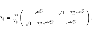\begin{displaymath}
\cal{T}_m
\; = \; \frac{1}{T_m}
\left( \begin{array}{cc}
...
...2)}} &
\displaystyle e^{-i\phi_m^{(1)}}
\end{array} \right),
\end{displaymath}