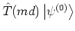 $\hat{T}(md)\left\vert \psi^{(0)} \right>$