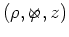 $(\rho,\varphi\hspace*{-0.3cm}\times,z)$